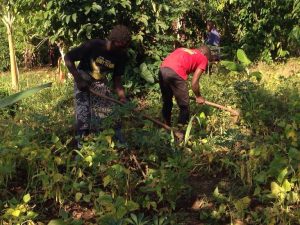 Some members of Rainbow Mirrors at their farm